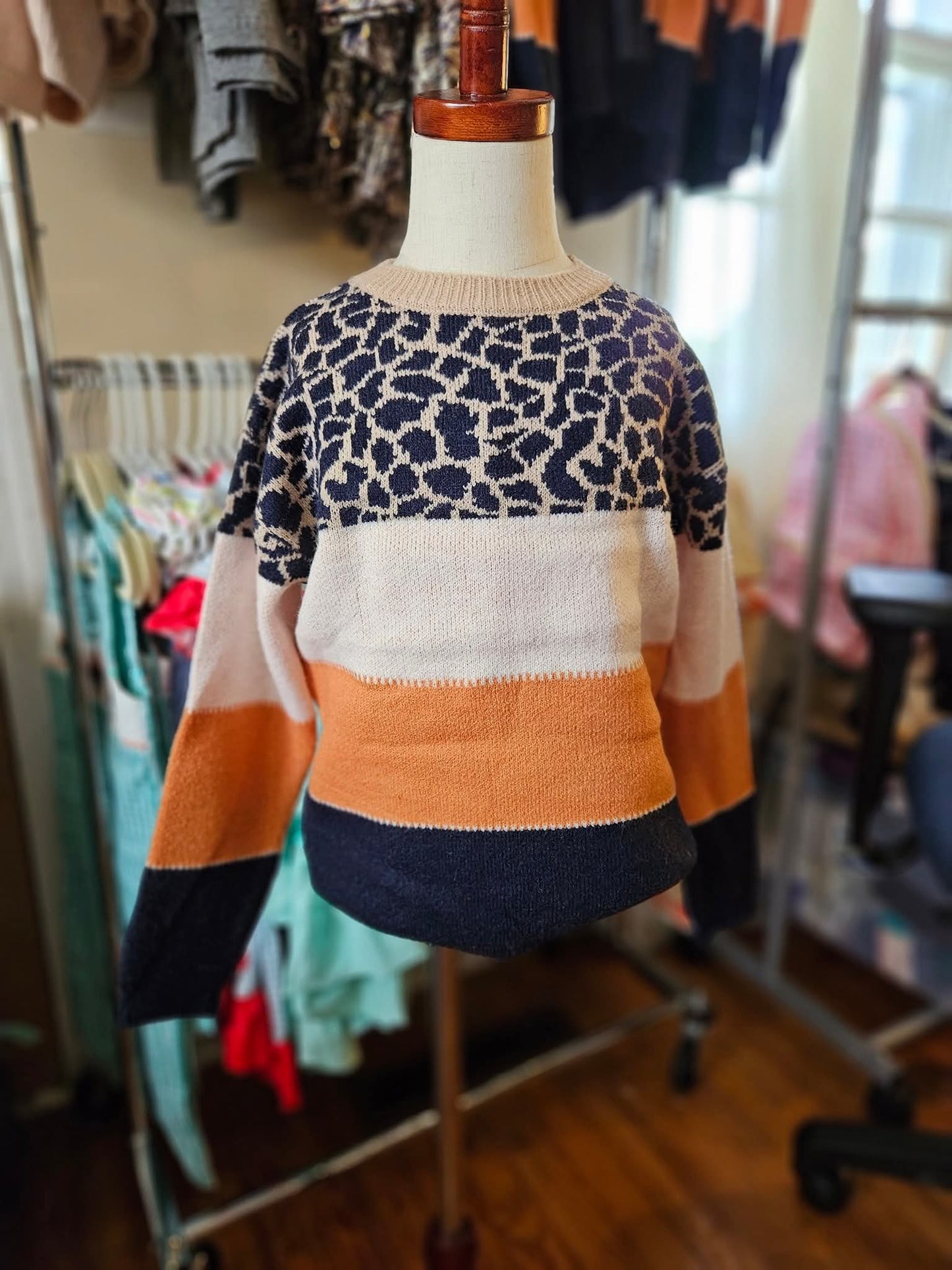 Cheetah Knit Fall Sweater