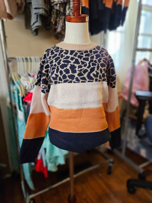 Cheetah Knit Fall Sweater